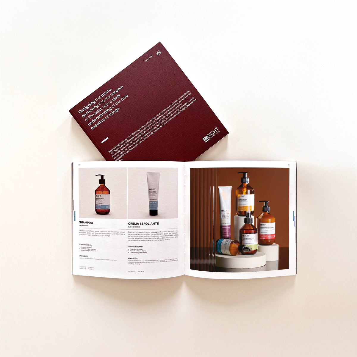 INSIGHT Core Catalogue